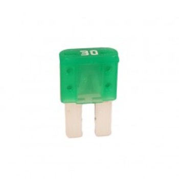Micro 2 Fuse 30A 037683