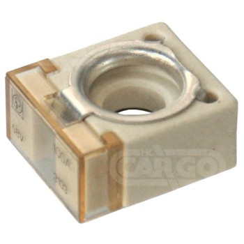 Compact Fuse 100 Amp 192540