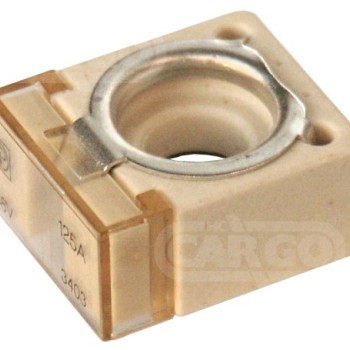 Compact Fuse 125 Amp 192541