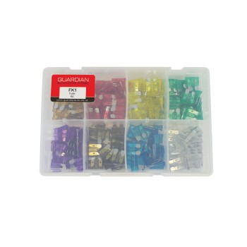 Assorted Blade Fuse Kit FK1