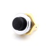 Push Button Switch PBS021010